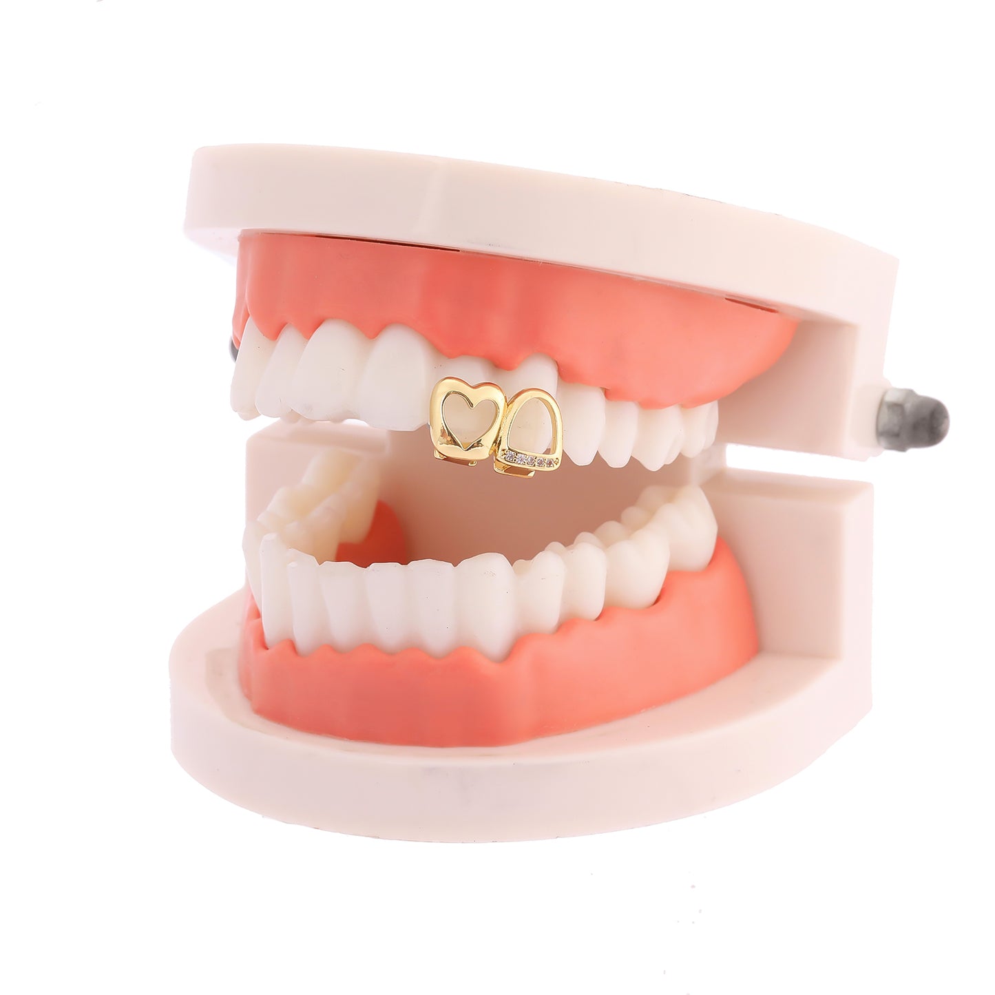 Dual Plated Hollow Heart and Tooth with Ice Line