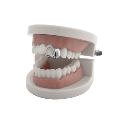 Dual Plated and Hollow Grill